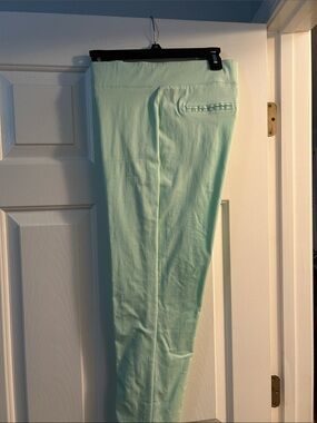 Light Mint Green Ponte Pants passport